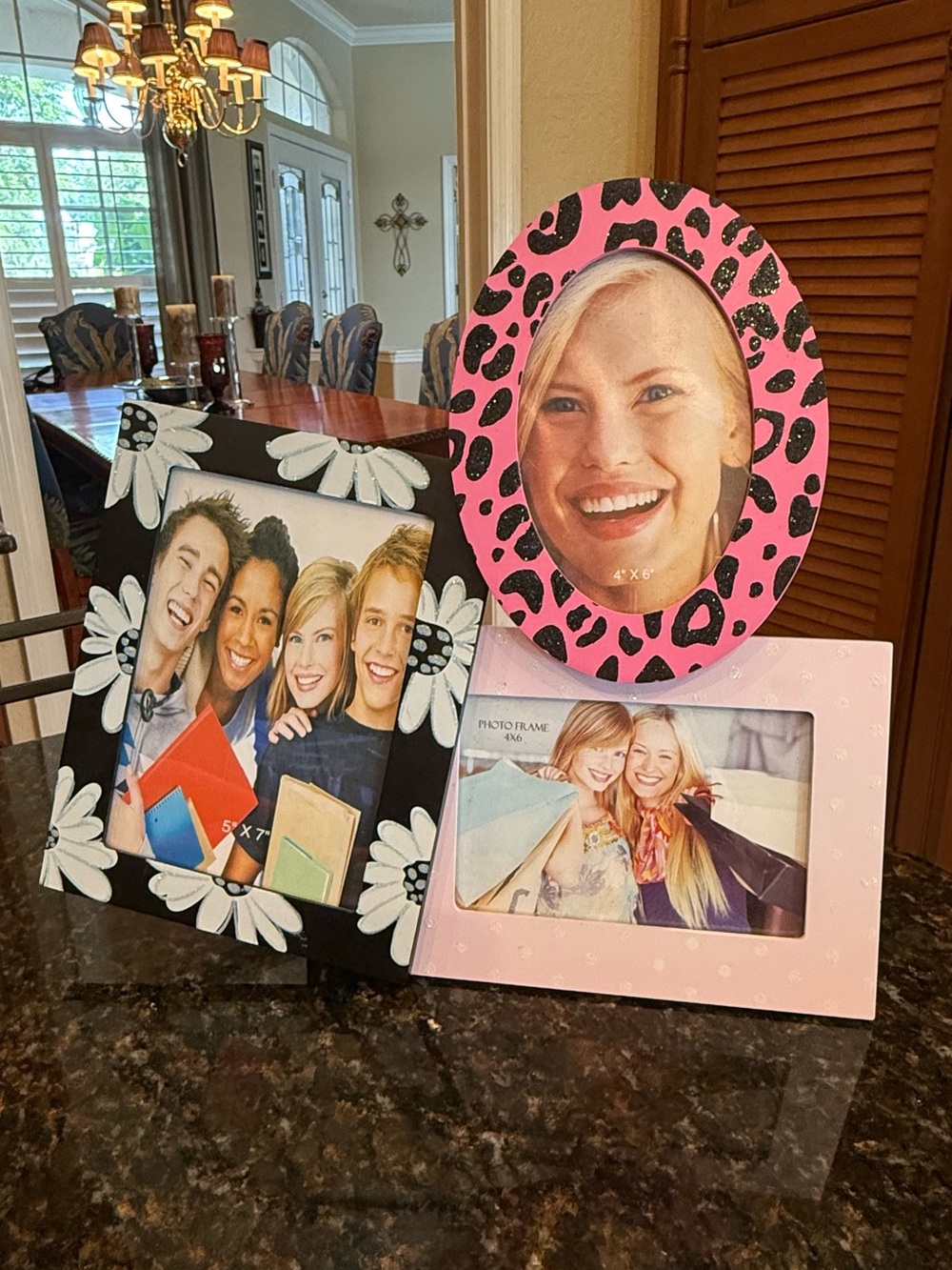 NWT Zebra and Daisy Collage Photo Picture Frame